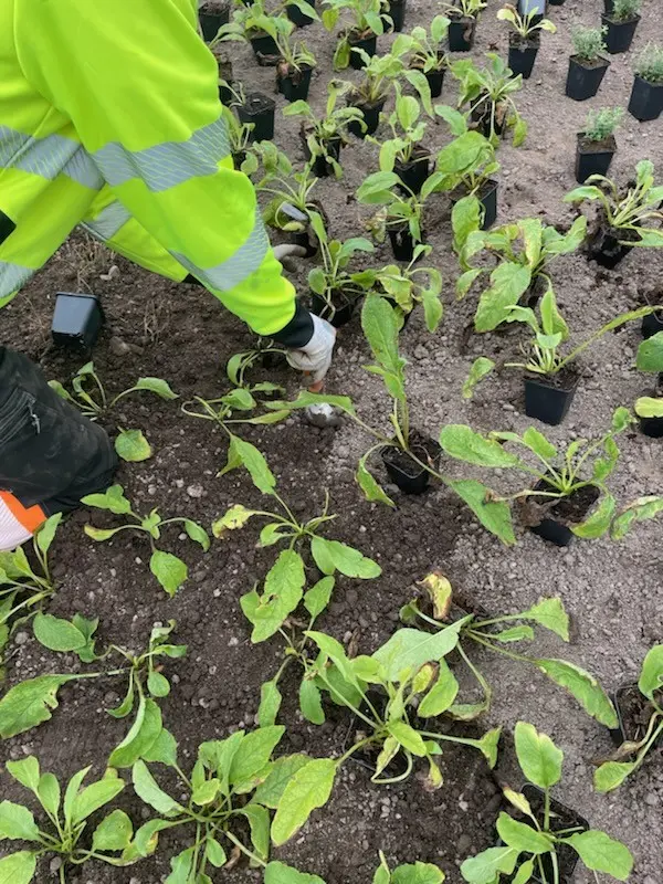 Projektnytt ARN 62 Västerås